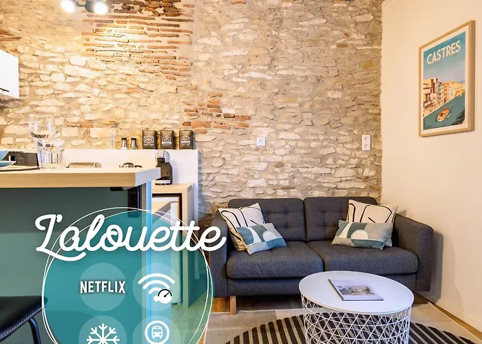 L\'Alouette - Studio Duplex Cosy En Hypercentre