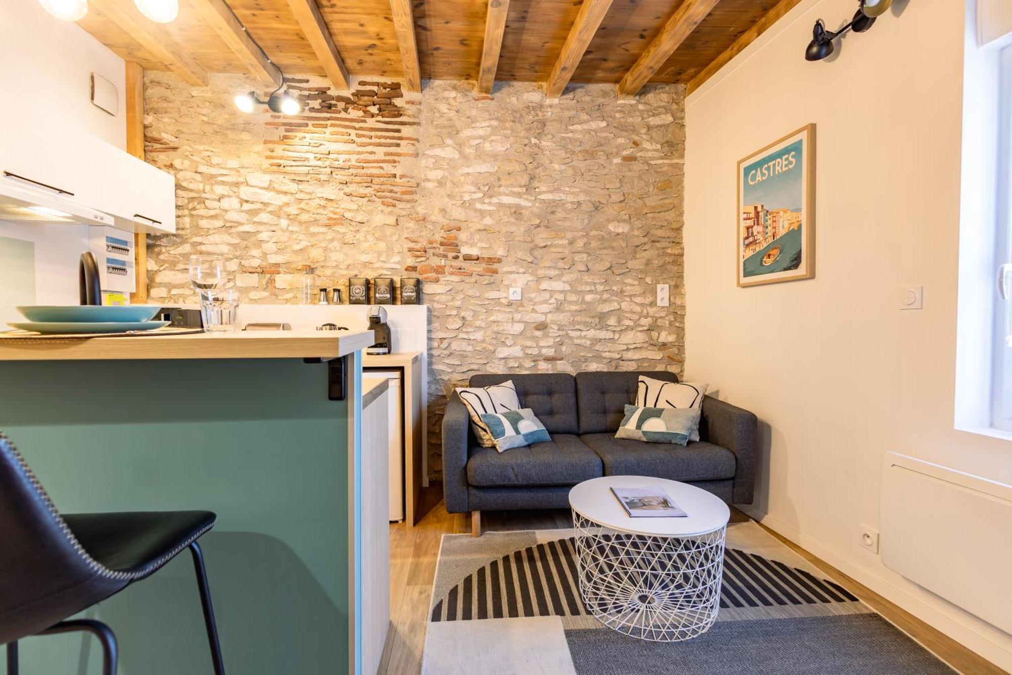 L'alouette - Duplex Cosy En Hypercentre * Castres (Tarn)