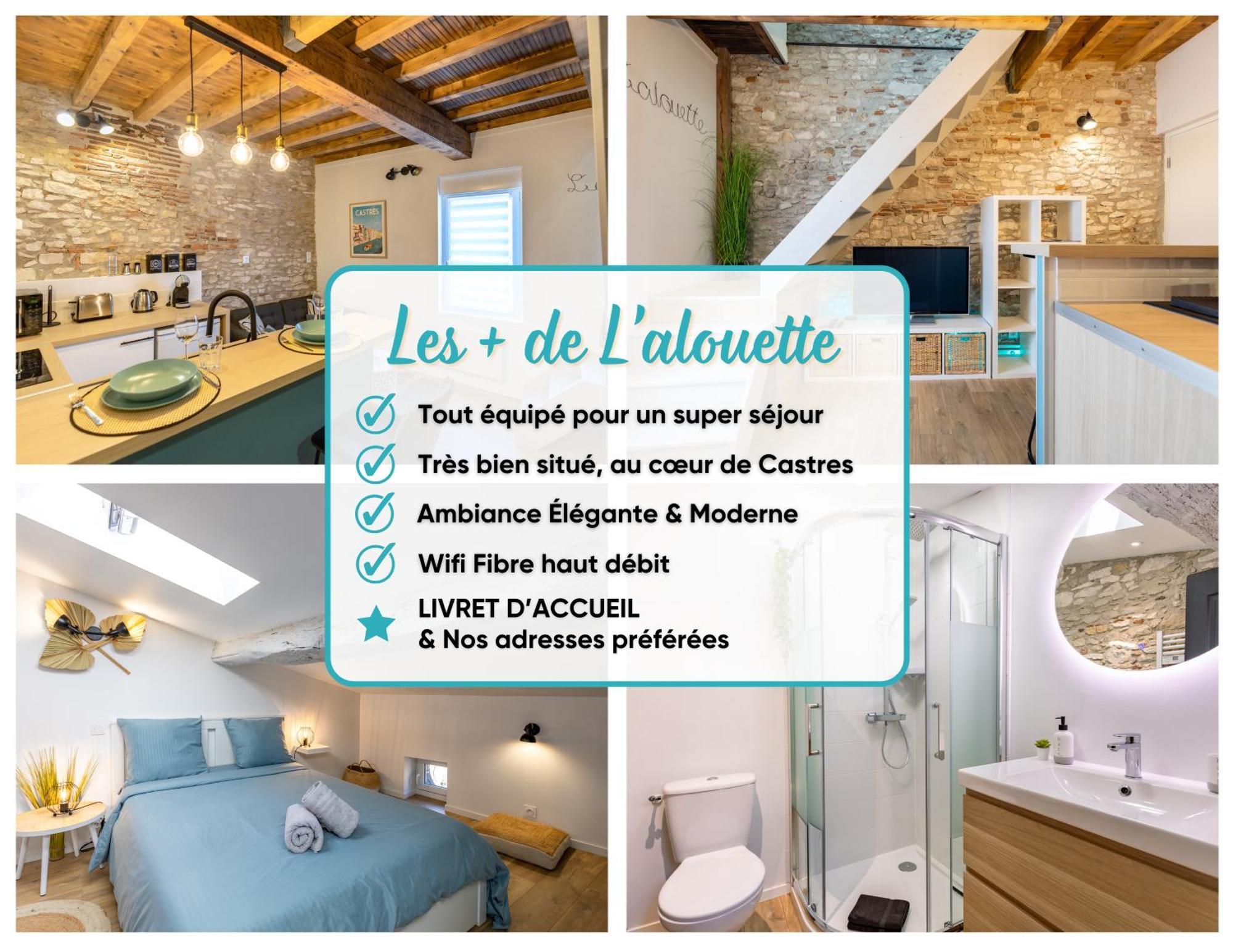 L'alouette - Duplex Cosy En Hypercentre Castres (Tarn)